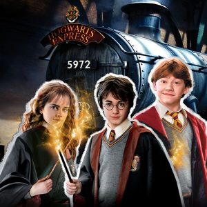 ✨ Wizarding World Mystery Scoop